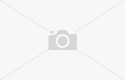 Erwachsenen-Tollitäten 1981